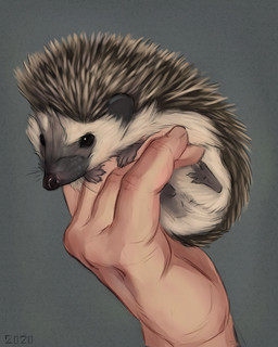black_nose duo feral fur humanoid_hands on_hand pale_skin whiskers white_body white_fur alexpahomov eulipotyphlan hedgehog human mammal 2020 4:5 digital_drawing_(artwork) digital_media_(artwork) hi_res