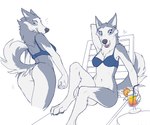 anthro beverage bottomless bra breasts butt butt_focus clothed clothing digitigrade female fur grey_body grey_fur neck_tuft partially_clothed paws presenting presenting_hindquarters raised_tail sitting solo tail tuft underwear white_body white_fur lf amelie_(lf) canid canine canis domestic_dog husky mammal nordic_sled_dog spitz 2023