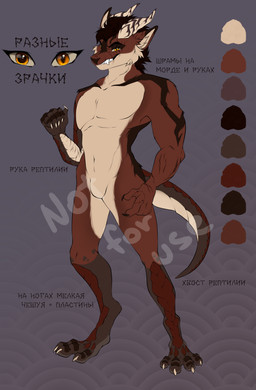 2_horns anthro black_body black_fur black_hair brown_body brown_fur brown_scales claws fangs fur fur_markings hair head_horn horn male markings multicolored_body multicolored_fur nude scales scar simple_background smile solo tail teeth text two_tone_body two_tone_fur white_body white_fur white_scales shyryp mythology kogo_ita canid canine canis dragon hybrid mammal mythological_creature mythological_scalie reptile scalie wolf absurd_res digital_media_(artwork) hi_res model_sheet