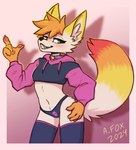 anthro clothing cropped_hoodie femboy hoodie leg_warmers legwear looking_at_viewer male panties solo topwear underwear mr.albafox meme_clothing paggi_outfit albafox canid canine fox mammal hi_res meme