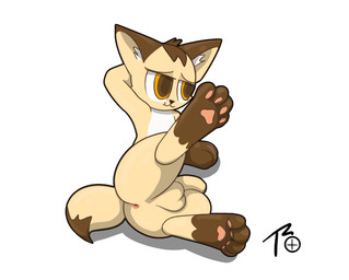 anthro anus awkward_smile brown_eyes butt casual_exposure curling_toes dipstick_tail feet flaccid genitals hand_behind_head looking_away lying male markings narrowed_eyes on_side paws penis presenting presenting_hindquarters shy simple_background solo spread_legs spreading tail tail_markings white_background shatterstone turb_(turbineclaw) canid canine fox mammal signature