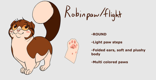 ambiguous_gender big_tail brown_body brown_eyes brown_fur feral feralized flat_face fluffy fluffy_tail fur multicolored_body multicolored_fur multicolored_pawpads pawpads round_body simple_background solo tail tan_body tan_fur text white_background yellow_sclera segamastergirl my_hero_academia warriors_(book_series) ochaco_uraraka domestic_cat felid feline felis mammal crossover english_text model_sheet