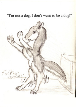 after_transformation biped bipedal_feral claws dialogue female feral fur inside looking_at_hands looking_at_paw looking_at_self loss_of_dexterity open_mouth pawpads simple_background solo standing text wobbling crazedcollie lady:_my_life_as_a_bitch canid canine canis collie domestic_dog herding_dog mammal pastoral_dog sheepdog english_text signature