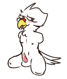 4_missing_limbs amputee animal_genitalia anthro balls beak biped blush bodily_fluids cum disability erection genital_fluids genitals looking_at_viewer male missing_arm missing_leg nipples nude penis quadruple_amputee simple_background solo tongue tongue_out white_background cfoxblu danny_(cfoxblu) avian bird chicken galliform phasianid 2019 digital_media_(artwork)