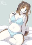 anthro bed big_breasts blue_bra blue_clothing blue_panties blue_underwear blush bow_bra bow_panties bow_ribbon bow_underwear bra breasts clothed clothing detailed_background eyes_closed female female_anthro floppy_ears frilly frilly_bra frilly_clothing frilly_panties frilly_underwear fur furniture gusset hair inside kemono navel panties ribbons simple_background sitting slightly_chubby smile solo text thick_thighs underwear underwear_only kikurage inukoro_(kikurage) tachibana_peko beagle canid canine canis domestic_dog hunting_dog mammal scent_hound character_name digital_media_(artwork) shaded