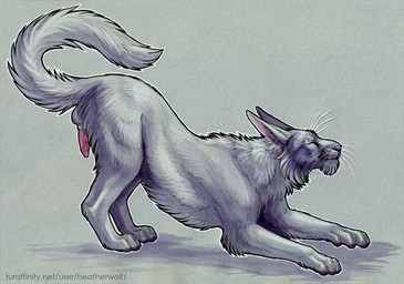 animal_genitalia animal_penis ass_up balls cheek_tuft chest_tuft erection eyes_closed facial_tuft feline_genitalia feline_penis feral fur genitals leg_tuft male male_feral mouth_closed neck_tuft penis side_view solo tail text tuft whiskers white_balls white_body white_fur white_tail heatherwolf felid mammal url