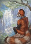 anthro biped black_body black_fur black_nose blue_eyes blue_kerchief detailed_background eyewear eyewear_on_head fur goggles goggles_on_head kerchief male markings multicolored_body multicolored_fur nude orange_body orange_fur rear_view sitting solo striped_markings striped_tail stripes tail tail_markings waterfall white_body white_fur conditional_dnp latex_(artist) bomber_panda ailurid mammal red_panda 2017 digital_media_(artwork) hi_res