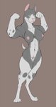 anthro big_breasts breasts canid canine canis cryphalen domestic_dog era female flexing green_eyes hi_res mammal muscular muscular_anthro muscular_female pit_bull solo spots