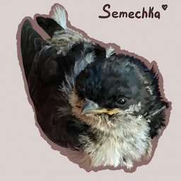 ambiguous_feral ambiguous_gender beady_eyes beak black_body black_feathers black_wings feathered_wings feathers feral glistening glistening_eyes lying mouth_closed on_front simple_background solo white_body white_feathers wings msdeadsoul avian bird hirundinid oscine passerine swallow_(bird) 1:1 hi_res