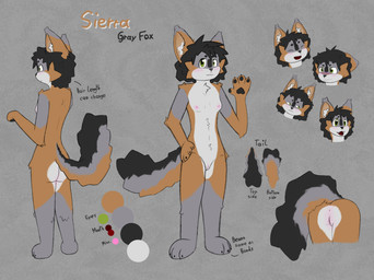 anthro anus areola blush breasts butt cheek_tuft claws color_swatch dark_hair excited facial_tuft fangs female front_view fur genitals green_eyes grey_background grey_body grey_fur hair looking_at_viewer name_tag nipples nude open_mouth pawpads paws raised_paw rear_view red_body red_fur shy side_view simple_background small_breasts smile smug solo standing tail teeth text tongue tuft vulva white_body white_fur sierra-owo sierra_(sierra-owo) canid canine fox grey_fox mammal urocyon 2025 absurd_res digital_media_(artwork) english_text expression_sheet hi_res model_sheet species_name