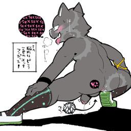 anthro anus aroused black_clothing black_footwear black_socks blush bodily_fluids breath butt clothing drooling embarrassed fangs fertility_analysis footwear fur genital_fluids genitals green_eyes grey_body grey_fur looking_pleasured male mostly_nude_male open_mouth penis precum repeated_internal_monologue saliva simple_background socks solo sperm_cell spread_legs spreading stretching_leg sweat tailless teeth text tiptoes tongue tongue_out white_background white_clothing white_footwear moesouna_gomi ringula domestic_cat felid feline felis mammal 1:1 2026 japanese_text translated