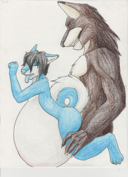 4_toes 5_fingers anthro anthro_on_anthro anthro_penetrated anthro_penetrating anthro_penetrating_anthro black_hair black_nose blue_body blue_eyes blue_fur blue_nose blue_tongue bodily_fluids claws cum cum_inflation cum_inside dipstick_ears duo ear_markings feet fingers fur genital_fluids hair inflation inner_ear_fluff male male/male male_penetrated male_penetrating male_penetrating_male multicolored_body multicolored_ears multicolored_fur open_mouth orange_eyes penetration sex sharp_teeth simple_background teeth toes tongue tongue_out tuft white_background white_claws white_inner_ear_fluff jackiethedoodler canid canine canis mammal wolf absurd_res hi_res