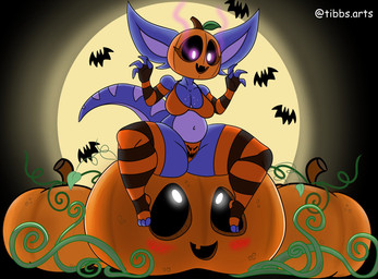 anthro blue_body bra breasts clothing duo female food for_a_head fruit holidays panties plant pumpkin pumpkin_head purple_eyes underwear tibbs halloween mythology spooky_month star_(tibbs) dragon mythological_creature mythological_scalie object_head scalie hi_res