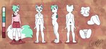 anthro cheek_tuft facial_tuft female fluffy fluffy_chest fluffy_tail fox_tail green_hair hair solo tail tuft turnaround snarrl kipp_(arctic_fox) arctic_fox canid canine fox humanoid mammal true_fox absurd_res digital_drawing_(artwork) digital_media_(artwork) hi_res model_sheet