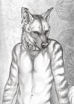 2015 ahsan anthro clothed clothing collar ear_piercing fur half-length_portrait hyena looking_at_viewer male mammal metal_collar nude partially_clothed piercing portrait red_lantern rukis solo story story_in_description striped_body striped_hyena stripes symbol