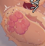 4_toes anthro bodily_fluids claws cum cum_on_feet feet female female_anthro foot_fetish foot_focus fur genital_fluids kemono pawpads paws solo text toe_claws toes yellow_body yellow_fur racal_ra canid canine fox mammal 2021 cropped digital_media_(artwork) japanese_text translated translated_description