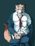 anthro bandage blush bodily_fluids clothed clothing drooling male muscular muscular_anthro muscular_male necktie pubes saliva solo suit sweat tail undressing kenn canid canine fox mammal 3:4 hi_res