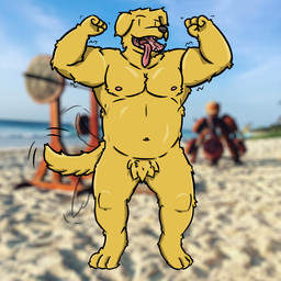 anthro crotch_tuft digitigrade flexing looking_at_viewer male muscular muscular_male solo tail tail_motion tailwag tongue tongue_out tuft karamelkobold butter_(karamelkobold) bird_dog canid canine canis domestic_dog golden_retriever hunting_dog mammal retriever 1:1