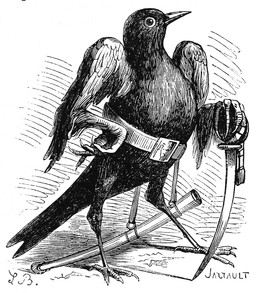 ambiguous_gender anthro belt claws feathers holding_object mostly_nude_anthro saber scabbard solo standing tassels louis_le_breton dictionnaire_infernal mythology caym avian bird common_blackbird demon oscine passerine thrush_(bird) true_thrush 1863 19th_century ancient_art black_and_white hi_res monochrome signature male_(lore)