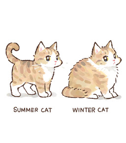 ambiguous_gender brown_markings feral fur markings multiple_poses pink_nose pose quadruped simple_background sitting solo standing tail text whiskers white_background white_body white_fur yellow_body yellow_eyes yellow_fur gentleeeeeeecat domestic_cat felid feline felis mammal colored digital_drawing_(artwork) digital_media_(artwork) english_text hi_res shaded
