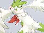 anthro blush bound chest_tuft featureless_chest female fur genitals lying nude on_back pussy rope solo tuft white_body white_fur ancesra nintendo pokemon generation_4_pokemon legendary_pokemon pokemon_(species) shaymin sky_forme_shaymin 2022 4:3 hi_res