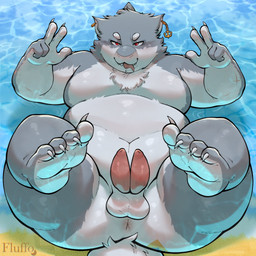 2_penises anthro anus balls belly blush butt diphallism erection fur genitals grey_body grey_fur lying male moobs multi_genitalia multi_penis navel nude on_back overweight penis solo spread_legs spreading fluffo_boyo aquatic fish furred_shark shark 1:1 hi_res