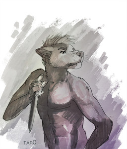 abs angry anthro dagger fur grey_body grey_eyes grey_fur male melee_weapon nude piercing snarling solo teeth weapon tar0 canid canine canis domestic_dog mammal 2014 colored shaded sketch