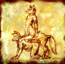 all_fours anal anal_penetration anthro anthro_on_taur anthro_penetrated bdsm collar doggystyle dominant duo erection from_behind_position genitals holding_object holding_whip interspecies kneeling larger_dom male male/male male_penetrated male_penetrating male_penetrating_male muzzle_(object) muzzled penetration penis petplay puppyplay riding_crop roleplay sex size_difference taur_penetrating taur_penetrating_anthro whip turbinedivinity canid canid_taur canine canine_taur canis fox fox_taur mammal mammal_taur taur wolf 2006