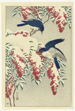 ambiguous_feral ambiguous_gender avian_feet beak biped bipedal_feral blue_body blue_feathers branch cjk_character duo feathered_wings feathers feral leaf on_branch scuted_feet scuted_legs scutes side_view simple_background snow snowing spread_wings standing tail tail_feathers white_body white_feathers wings ohara_koson public_domain avian bird old_world_flycatcher oscine passerine 20th_century absurd_res ancient_art hi_res traditional_media_(artwork)