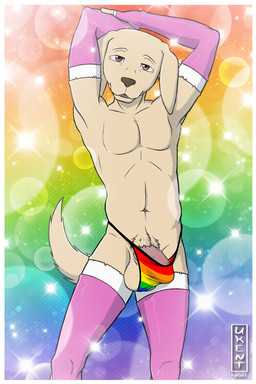 anthro arm_warmers armwear balls clothing erection featureless_chest genitals humanoid_genitalia humanoid_penis latex latex_arm_warmers latex_armwear latex_clothing latex_legwear latex_stockings legwear lgbt_pride looking_at_viewer male navel penis rainbow rainbow_background simple_background solo sparkles stockings tail thong underwear ukent beastars lgbt_pride_month jack_(beastars) bird_dog canid canine canis domestic_dog hunting_dog labrador mammal retriever 2021 digital_media_(artwork) hi_res