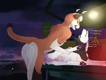 anal anal_only anal_penetration animal_genitalia animal_vulva anthro anthro_on_feral anthro_penetrating anthro_penetrating_feral anus bestiality black_body black_ears black_fur butt camel_toe canine_genitalia canine_vulva canine_vulva_outline car duo ear_tuft erection fangs female female_penetrated feral feral_penetrated fur genital_outline genitals green_eyes hair interspecies male male/female male_penetrating male_penetrating_female night nude open_mouth orange_body orange_fur outside penetration penile penile_penetration penis penis_in_ass pink_penis pink_tongue red_anus sex sign teeth text tongue tuft vehicle vulva vulva_outline water whiskers white_body white_fur white_hair yellow_eyes sketchy_shelby shelby_(sketchy_shelby) canid canine canis domestic_dog felid husky mammal nordic_sled_dog spitz english_text hi_res