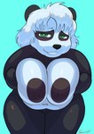 anthro areola belly big_areola big_breasts black_areola black_body black_ears black_fur black_nipples black_nose blush blush_lines breasts cyan_background eyelashes female female_anthro front_view fur green_eyes hair leaning leaning_forward looking_at_viewer multicolored_body multicolored_fur narrowed_eyes navel nipples nude nude_anthro nude_female pressing_breasts_together round_ears simple_background slightly_chubby slightly_chubby_anthro slightly_chubby_female smile two_tone_body two_tone_fur white_body white_fur white_hair toonarscontent coco bear giant_panda mammal 2024 absurd_res digital_drawing_(artwork) digital_media_(artwork) hi_res portrait three-quarter_portrait