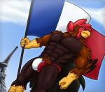 abs anthro beak biceps bulge chest_tuft clothed clothing cloud day eiffel_tower feathers flag flag_(object) flag_clothing flag_print flag_underwear flagpole france french french_flag holidays male muscular muscular_anthro muscular_male navel outside pecs print_clothing print_underwear pubes sky solo standing tuft underwear corrsk bastille_day real_world gallic_rooster avian bird chicken galliform gallus_(genus) phasianid 2017 digital_media_(artwork)