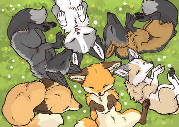 4_toes ambiguous_gender black_pawpads brown_body brown_fur dipstick_tail eyes_closed feet feral flower fur grass grey_body grey_fur group inner_ear_fluff leg_markings lying markings multicolored_body multicolored_fur multicolored_tail on_back orange_body orange_fur outside pawpads paws plant sleeping socks_(marking) tail tail_markings tan_body tan_fur toes tongue tongue_out tuft white_body white_fur fusau canid canine cross_fox fox mammal platinum_fox red_fox silver_fox true_fox 2025 absurd_res hi_res