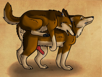 4_toes anal anal_penetration animal_genitalia animal_penis balls bodily_fluids brown_body brown_fur canine_genitalia canine_penis clone cum cumshot digitigrade doggystyle duo ear_piercing ear_ring ejaculation erection eyes_closed feet feral feral_on_feral feral_penetrated feral_penetrating feral_penetrating_feral from_behind_position fur genital_fluids genitals hindpaw looking_back male male/male male_penetrated male_penetrating male_penetrating_male mounting obscured_penetration open_mouth pawpads paws penetration penile penile_penetration penis penis_in_ass piercing quadruped raised_leg ring_piercing selfcest sex square_crossover toes anonymous_artist karn_(karn_the_wolf) canid canine canis mammal wolf 2012 4:3