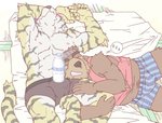 anthro barazoku bed belly blush bulge clothed clothing duo eyes_closed furniture hug kemono lying male male/male muscular shirt sleeping slightly_chubby topwear underwear ryuta-h bear felid mammal pantherine tiger 2006