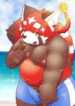 anthro beach belly blush bottomwear brown_body clothing cloud genitals humanoid_hands kemono male moobs nipples one_eye_closed outside overweight overweight_male penis red_body seaside shorts solo swimwear water wink young young_anthro nameko_no_neko lifewonders tokyo_afterschool_summoners zhurong_(tas) ailurid mammal red_panda 2022 hi_res