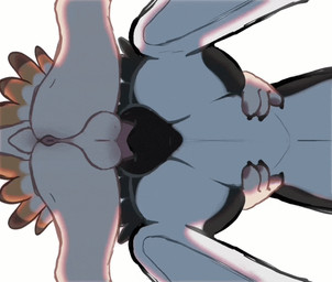 3_fingers animal_genitalia animal_penis animal_vulva anthro anthro_on_feral anthro_penetrating anthro_penetrating_feral anus balls belly bestiality big_butt big_vulva black_body black_claws black_feathers black_finger_claws black_fur black_genitals black_vulva bodily_fluids brown_body brown_feathers butt canine_genitalia canine_vulva claws countershading digitigrade doggystyle duo erection faceless_character faceless_female faceless_male feather_skirt feathers female female_feral female_on_anthro female_penetrated feral feral_penetrated fingers from_behind_position fur genital_fluids genital_focus genitals grabbing intraspecies larger_feral larger_penetrated larger_sub low-angle_view male male/female male_on_feral male_penetrating male_penetrating_female male_penetrating_feral mating_grip mounting multicolored_body nude pawpads paws penetration penile penile_penetration penis penis_in_vagina pink_anus pink_genitals pink_penis plump_labia raised_tail saggy_balls sex sheathed_tapering_penis simple_background size_difference smaller_anthro spread_legs spreading standing standing_sex submissive tail tail_feathers tan_body tapering_penis top_hole two_tone_body underfluffies vaginal vaginal_penetration vulva white_background white_balls white_body white_feathers white_fur worm's-eye_view geniebuy fyr_(fenrir784) jalli avali avian bird 2026 2d_animation animated colored digital_media_(artwork) frame_by_frame loop shaded simple_shading maleherm_(lore)