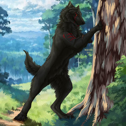 ambiguous_gender black_body black_fur black_nose black_tail brown_claws cheek_tuft claws facial_tuft featureless_crotch feral fur grass leg_tuft looking_at_viewer markings mouth_closed neck_tuft outside plant red_eyes red_markings shrub solo tail text tree tuft msdeadsoul canid canine mammal 1:1 2024 artist_name dated english_text hi_res