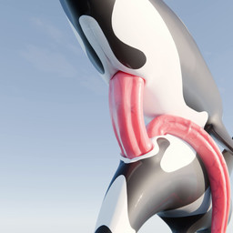 anal anal_penetration animal_genitalia animal_penis anus big_penis cetacean_genitalia cetacean_penis deep_penetration duo erection feral feral_on_feral genital_slit genitals glistening glistening_body glistening_genitalia glistening_penis hanging_penis huge_penis long_penis male male/male medial_ring multicolored_body penetration penile penis penis_size_difference pink_penis sex size_difference tapering_penis throbbing throbbing_penis thrusting two_tone_body vein veiny_penis white_body qubane blender_cycles korqa orqa cetacean dolphin mammal marine oceanic_dolphin orca toothed_whale 1:1 3d_(artwork) 3d_animation animated blender_(artwork) digital_media_(artwork) hi_res loop short_playtime sound