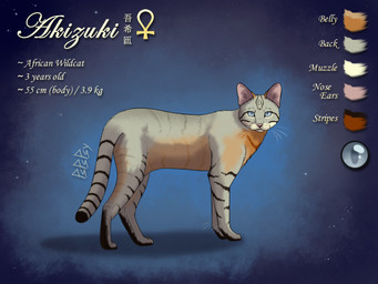 abstract_background ankh black_soles blind disability female feral looking_at_viewer pink_nose semi-realistic side_view solo standing stripes text whiskers pspspsy akizuki_(pspspsy) african_wildcat felid feline felis mammal wildcat english_text hi_res japanese_text model_sheet