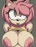 anthro areola big_breasts breasts clothed clothing female hair looking_at_viewer looking_up looking_up_at_viewer nipples pink_areola pink_hair pink_nipples raised_clothing raised_shirt raised_topwear shirt solo topwear ramdoctor sega sonic_the_hedgehog_(series) amy_rose eulipotyphlan hedgehog mammal absurd_res hi_res