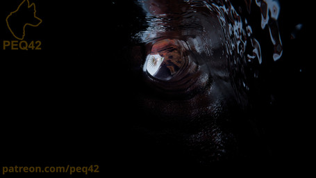 anthro blue_insides bodily_fluids body_in_ass first_person_view fur male male/male oral_vore saliva solo tail tail_fetish tail_mouth tail_play tail_vore throat unusual_anatomy unusual_tail vore peq42 mythology ushi_fuku dragon furred_dragon furred_scalie mythological_creature mythological_scalie regalfin scalie hi_res