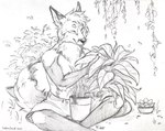 anthro bottomwear clothed clothing eyes_closed fur hair male navel plant shorts sitting solo text topless goldendruid canid canine fox mammal 2022 graphite_(artwork) greyscale monochrome traditional_media_(artwork) url