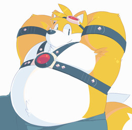 anthro belly biped black_nose bottomwear clothing harness leather leather_harness male overweight overweight_male pants simple_background sitting solo white_background white_body greenendorf sega sonic_the_hedgehog_(series) miles_prower canid canine fox mammal 2015