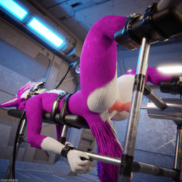 anal animal_genitalia animal_penis anthro anthro_on_anthro arms_tied ball_gag balls bdsm biped bodily_fluids bondage bound canine_genitalia canine_penis claws clothing cuffs_(clothing) cum cum_dripping_from_penis cum_on_penis depth_of_field erection feet forced forced_anal forced_orgasm fuck_bench fucking_machine fur gag gagged genital_fluids genitals hair hindpaw inside knot legs_tied machine male male_penetrated milking_cum milking_machine multicolored_body nude open_mouth orgasm paws penetration penis pink_body pink_fur pink_penis purple_penis reflection restraints slim slim_anthro slim_male slim_sub smile solo submissive submissive_male tail torture white_body white_fur dragonplayer lavi canid canine canis fox mammal rexouium 1:1 3d_(artwork) absurd_res blender_(artwork) blender_cycles_(artwork) digital_media_(artwork) hi_res
