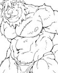 anthro balls barazoku bottomwear clothing eyes_closed genitals kemono loincloth male muscular muscular_male nipples scar solo dandoo felid lion mammal pantherine 2007 2020 4:5 black_and_white low_res monochrome sketch