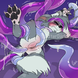 anal anal_penetration anthro bound chain chained clitoral cuffed_wrists female male penetration pressing sex solo tentacle_penetration tentacle_sex tentacles touching_pussy afterdarkragu ragu_(afterdarkragu) border_collie canid canine canis collie domestic_dog herding_dog mammal pastoral_dog sheepdog 1:1 absurd_res hi_res trans_(lore) trans_man_(lore)