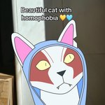 anthro clothing homophobia hoodie male shitpost solo topwear sumiidraws beautiful_cat_with_homophobia epic_games fortnite nyanja_(fortnite) felid mammal 1:1 lol_comments meme