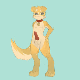 3_toes 5_fingers animal_genitalia animal_penis anthro arm_tuft balls black_nose blue_background blue_eyes canine_genitalia canine_penis collar elbow_tuft erection eyebrows facial_tuft feet fingers floppy_ears fluffy fluffy_tail fur genitals glistening glistening_body glistening_genitalia glistening_penis hand_on_butt kemono knot knotted_penis looking_at_viewer male male_anthro multicolored_body multicolored_fur nude_anthro nude_male penis red_collar red_penis simple_background smile smiling_at_viewer solo standing tail toes tuft two_tone_body two_tone_fur white_balls white_body white_eyebrows white_fur yellow_body yellow_fur young young_anthro young_male regcron crowl_(regcron) canid canine canis domestic_dog mammal 1:1 2025 full-length_portrait hi_res portrait